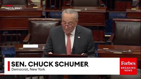 'It's Bone-Chilling, It's Un-American'- Chuck Schumer Rails Against Trump 'Manifesto' Project 2025