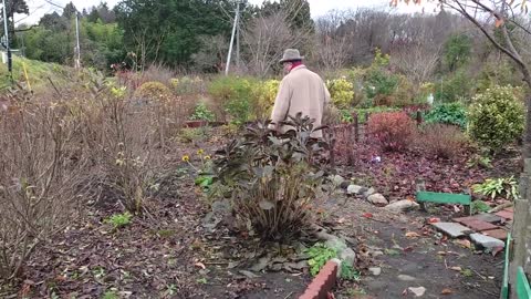 kerogarden
