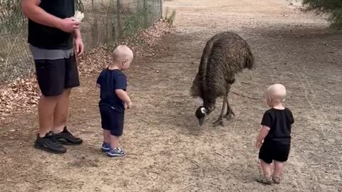 Wildlife Feeding Experience Turns Out to Be Scarier Than Expected