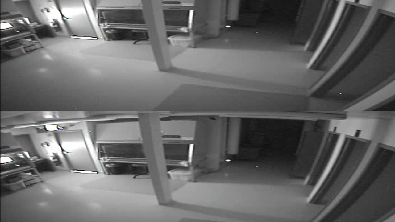 1702CRIB01CribAnalysisArea_2021-01-06_04h40min01s703ms.mp4