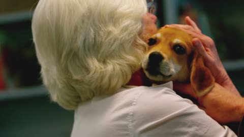 Slow Motion Puppy Shares Love with Owner