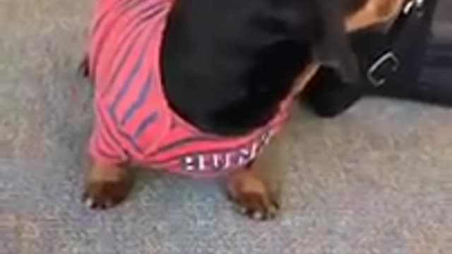 Crusoe & Oakley's LIVE Facebook Video & Contest to Meet a Lucky Fan!