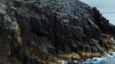 Why Are There No Snakes in Ireland?