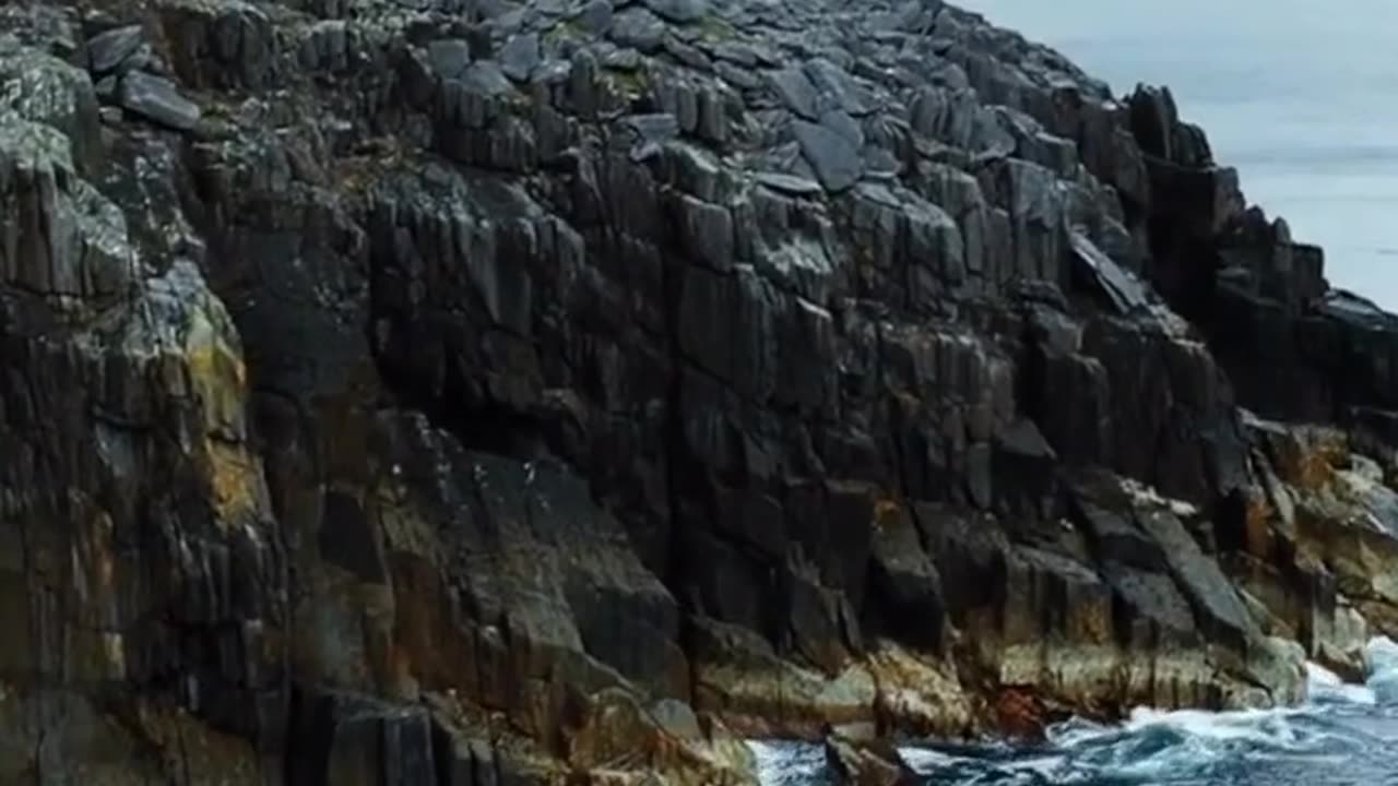 Why Are There No Snakes in Ireland?