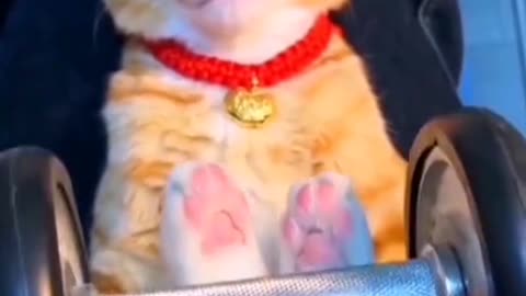 🥰🥰
