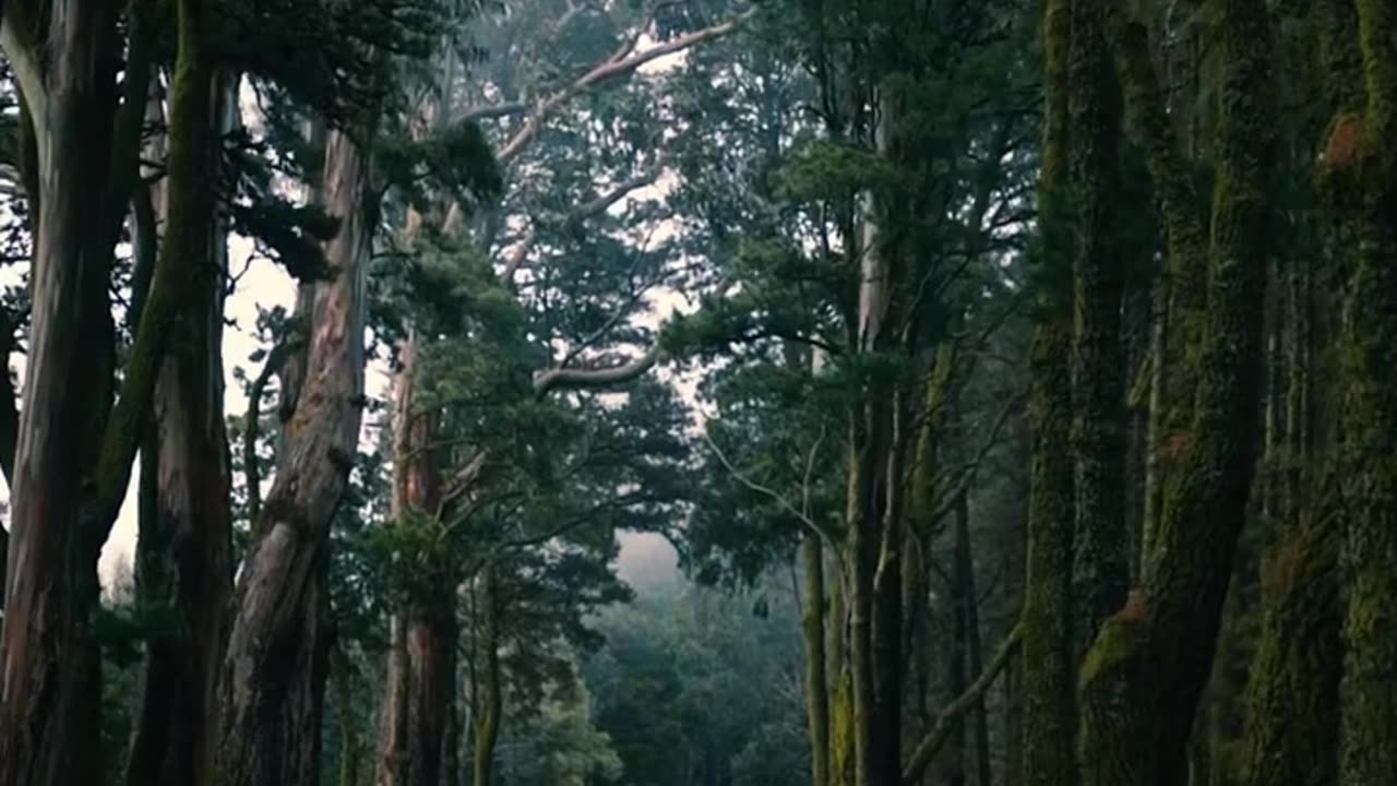 The Natural Beauty Revolution is Coming