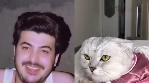 Clever cat funny video animal funny video 😜