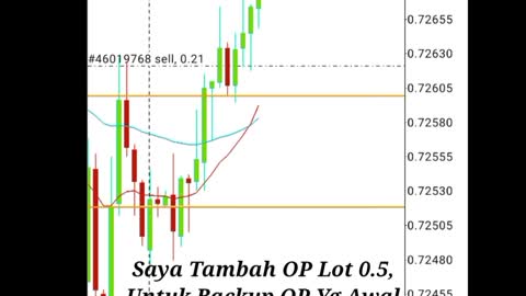 Fibonacci Strategi Like It