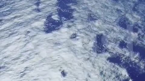 Mind relax video