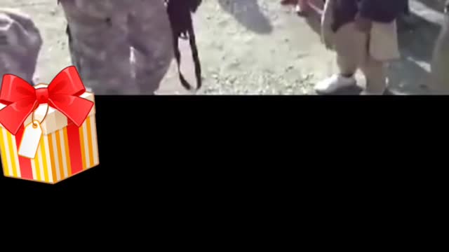 Afghan children and NATO soldier make fun