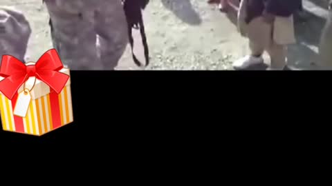 Afghan children and NATO soldier make fun