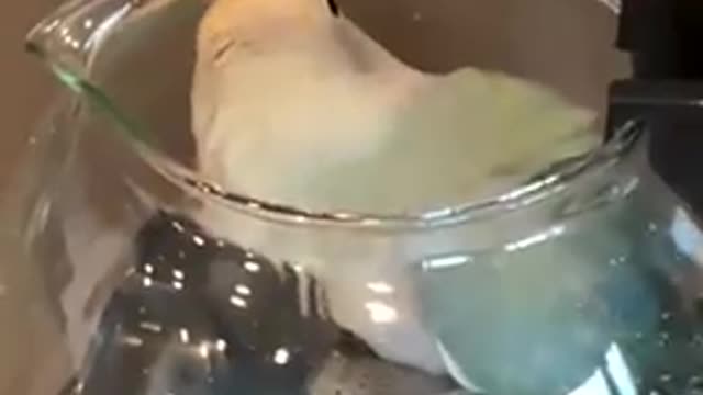 Parrot somehow manages to get stuck inside coffee