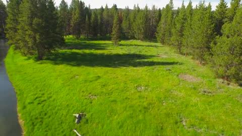 Critical Loads Video Series: Surface Waters pt2