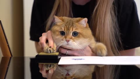 Everybody wants Hosi signature!