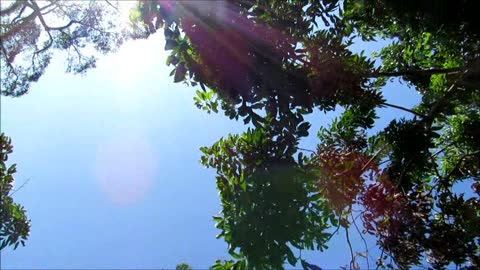 Trip in to the jungle, rafting, bamboo rafting - Chiang Mai - Thailand
