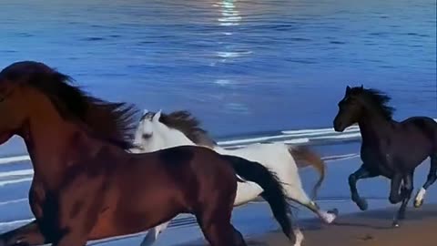 Most Beautiful Horses on Planet Earth