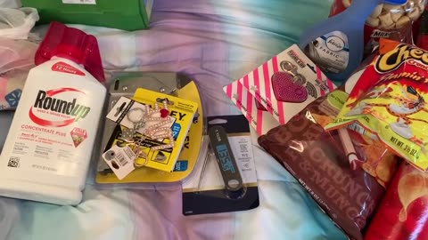 Walmart Haul of random stuff