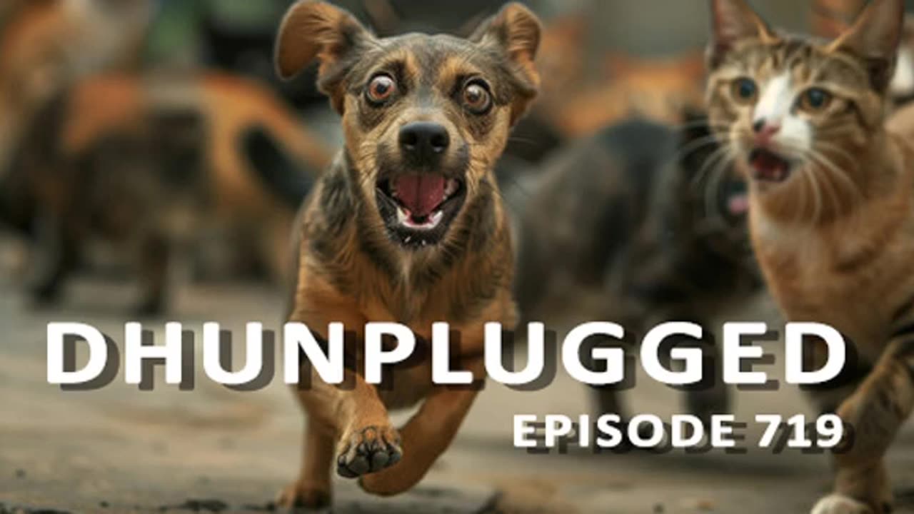 DHUnplugged #719: DogCat Bounce?