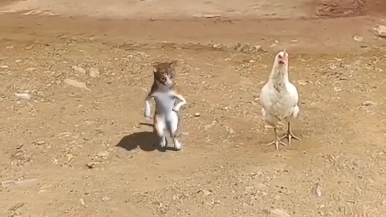 Funny India
