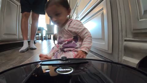 Desi Baby VS Roomba