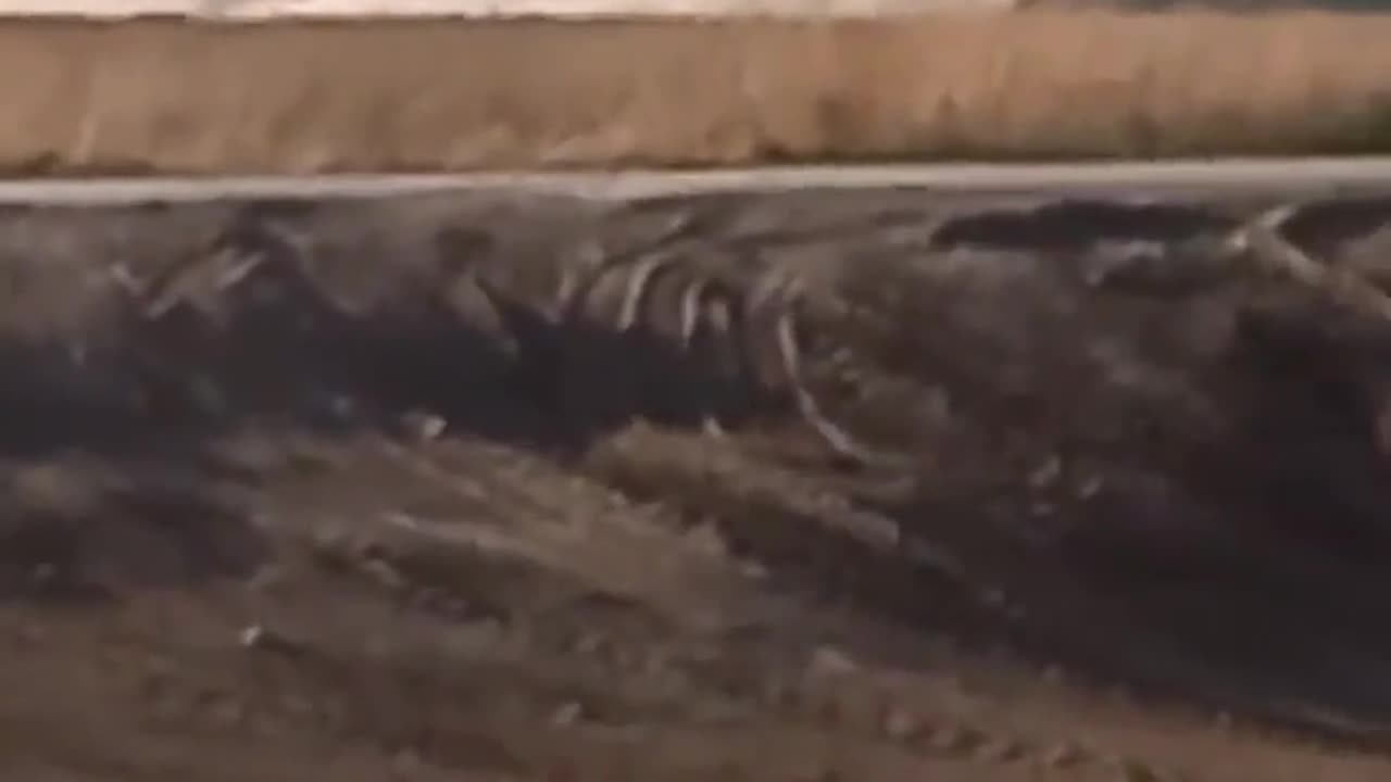 💥🇷🇺 Ukraine Russia War | American M864 Cluster Shell Near BARS 11 Unit | Zaporozhye Direction | RCF