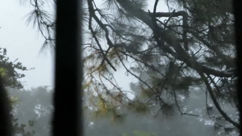 Hurricane Francine from Algiers, La.