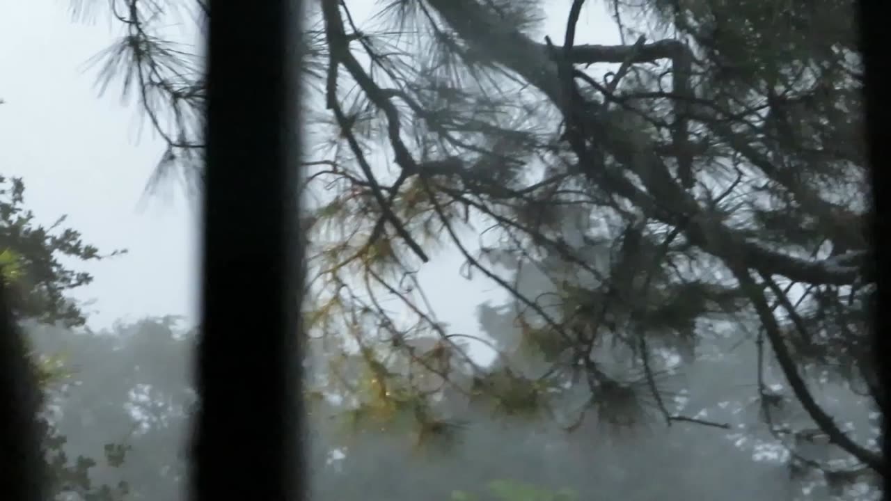 Hurricane Francine from Algiers, La.