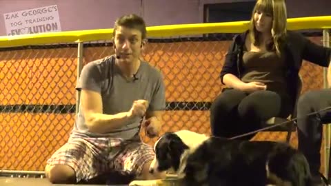 Dog trening