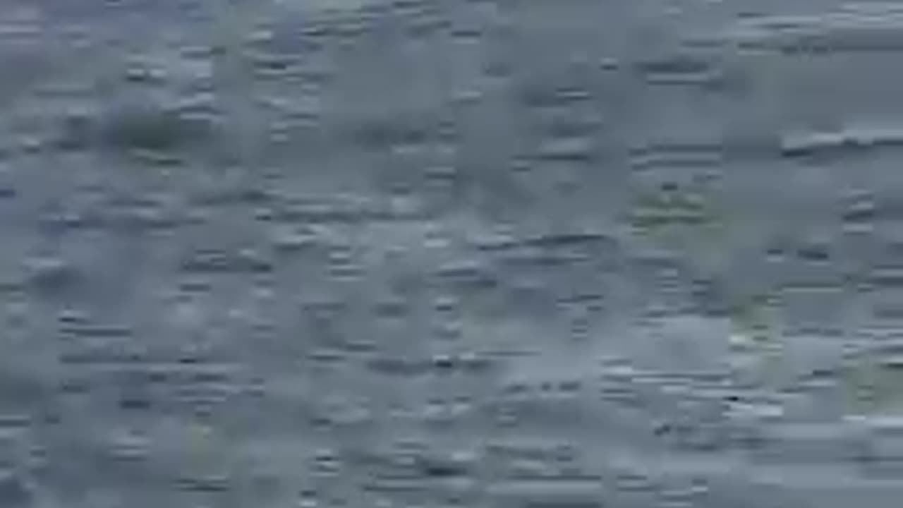 ...E DISSE AL MARE FERMATI CHE FARO' I PONTILI....DI LEGNO