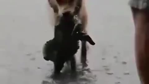 Dog Saves Little Baby Puppy From Drowning #shorts #viral #shortsvideo #video