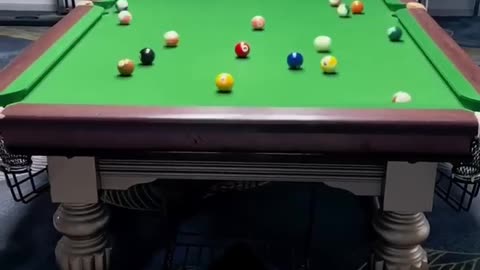 Top funny videos