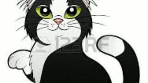Cat 😺😺