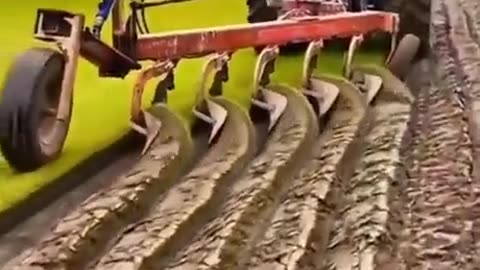 Automation and engineering at its finest
