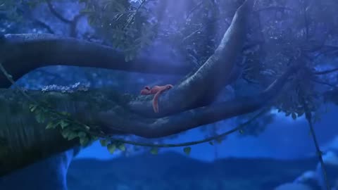 Jungle Beast.Cartoon For Kids.