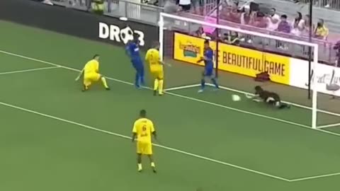 higuita legendary goalkeeper