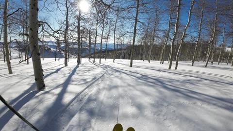 3/16 #3 fun run down Hippy Hill bluebird day