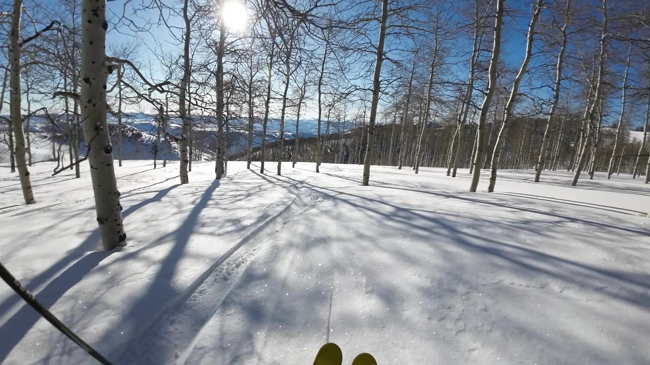 3/16 #3 fun run down Hippy Hill bluebird day