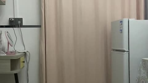 Cats are stupid everyday.