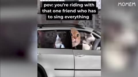 Fun