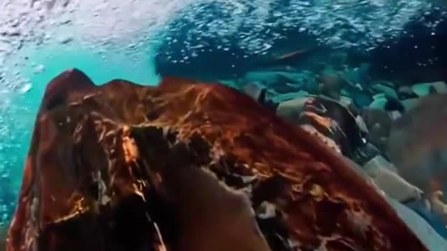 Diving is my favorite