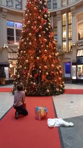 Climate Crazies Go After Christmas Trees