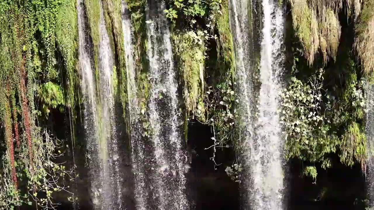 Relax for one minute to study the sounds of nature