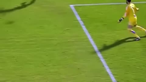 The funniest moments 🤣