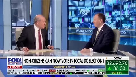 Non-citizens voting in DC elections is 'insane,' says Lee Zeldin