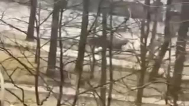 In Bucha, not far from Kyiv, there is also a fight going on