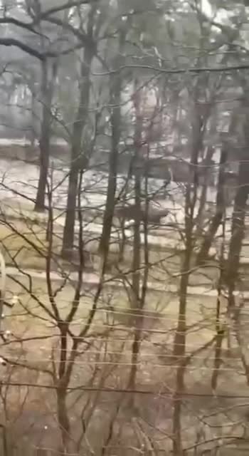 In Bucha, not far from Kyiv, there is also a fight going on