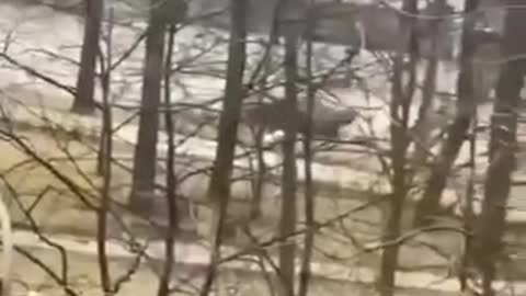 In Bucha, not far from Kyiv, there is also a fight going on