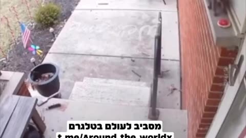 Surprising Neighbors