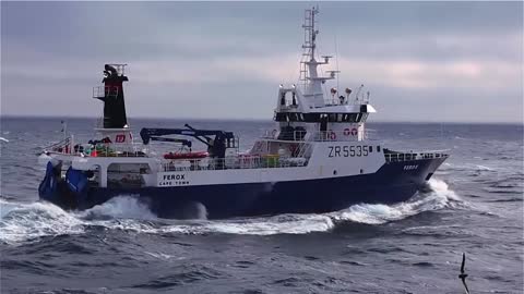 Deep Sea Trawling