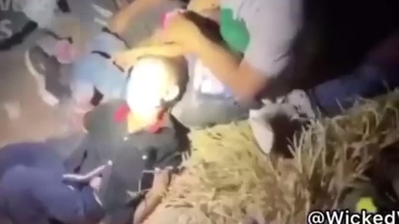 世界はこれを見る必要がある。 これが、私たちが日々戦っていることなのだ